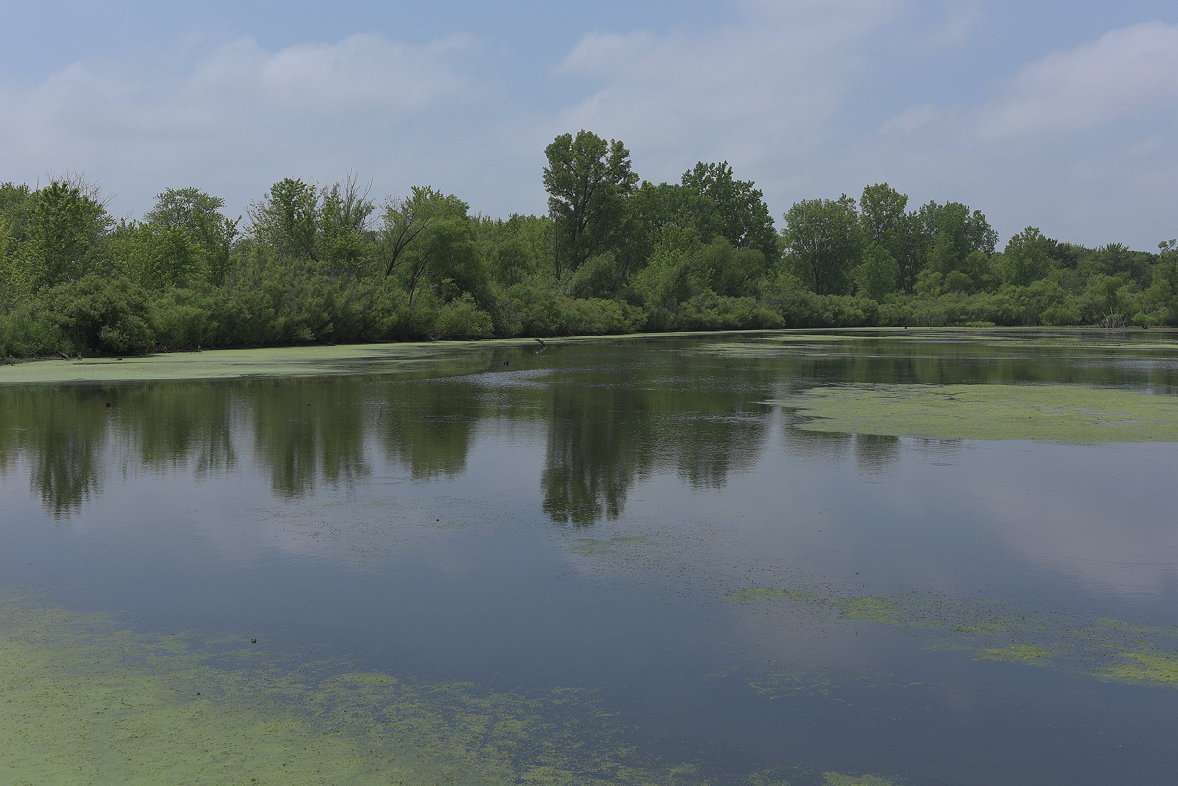 Pond on a farm in Lake County, Indiana - LAND AUCTION - 147+/- ACRES OFFERED IN 3 TRACTS IN LAKE COUNTY, INDIANA